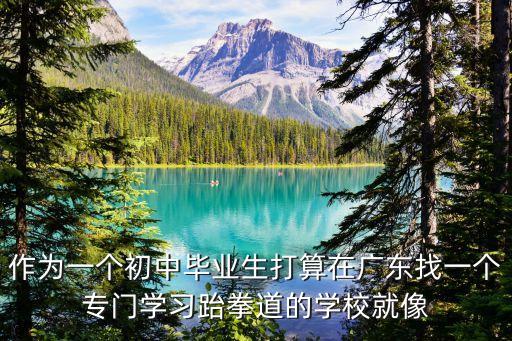 作为一个初中毕业生打算在广东找一个专门学习跆拳道的学校就像