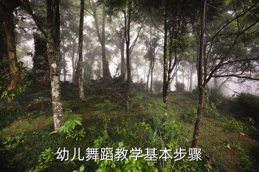 幼儿舞蹈教学基本步骤