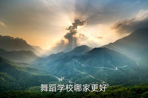 专业舞蹈培训机构哪家好一点，舞蹈培训到底去哪里比较好
