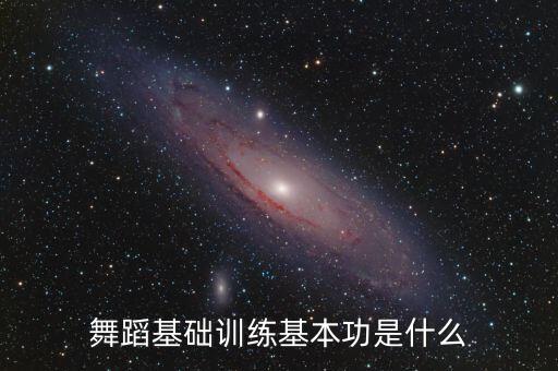 舞蹈基础训练基本功是什么