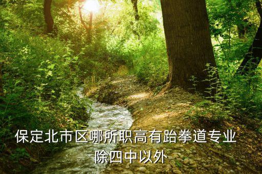 保定北市区哪所职高有跆拳道专业  除四中以外