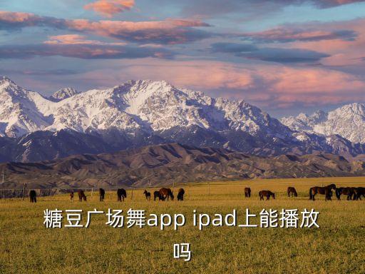 糖豆广场舞app ipad上能播放吗