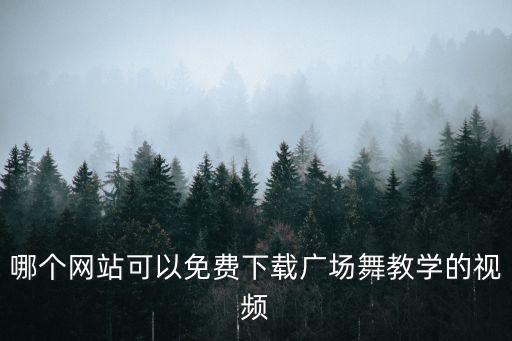 哪个网站可以免费下载广场舞教学的视频