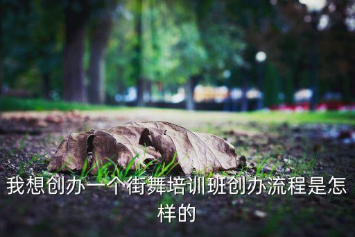 我想创办一个街舞培训班创办流程是怎样的