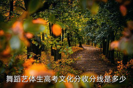 中考舞蹈生录取分数线，艺术高中分数线一般在多少左右