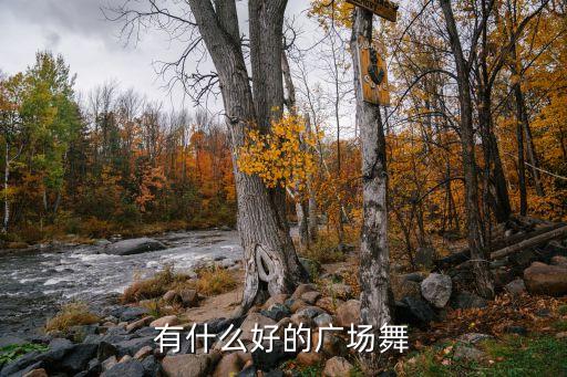有什么好的广场舞