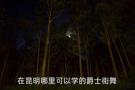 白塔学跳舞的有哪些，在昆明哪里可以学的爵士街舞