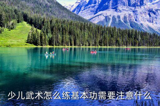 少儿武术怎么练基本功需要注意什么