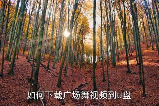 如何下载健身操的视频，怎样从电脑下载健美操到手机里