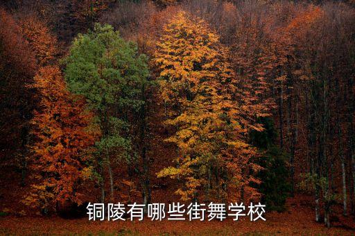 铜陵有哪些街舞学校