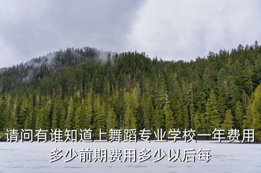 请问有谁知道上舞蹈专业学校一年费用多少前期费用多少以后每