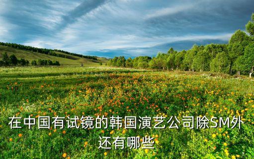 安尼演绎公司是做什么，在中国有试镜的韩国演艺公司除SM外还有哪些