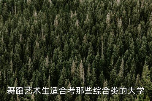 舞蹈艺术生适合考那些综合类的大学