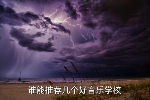 音乐培训学校简介，山东音乐学校有哪些