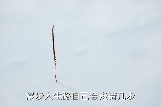 漫步人生路自己会走错几步