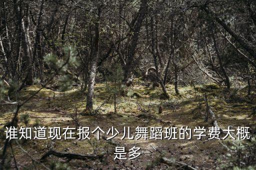 谁知道现在报个少儿舞蹈班的学费大概是多