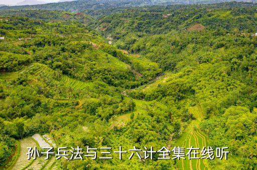 孙子兵法与三十六计全集在线听