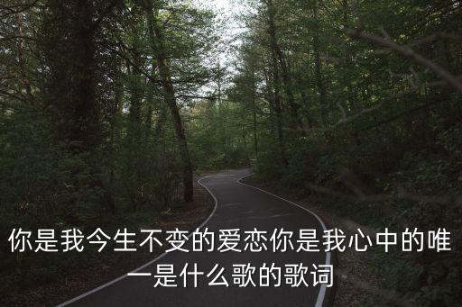 你是我今生不变的爱恋你是我心中的唯一是什么歌的歌词