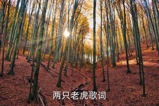 最好的十首儿歌两只老虎歌词，儿歌两只老虎完整歌词