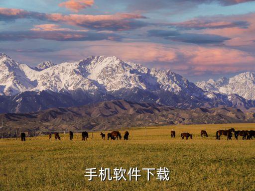 手机软件下载