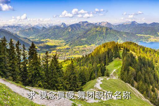 阿广场舞算什么，之类的是属于什么舞种的 街舞还是现代舞 还是什么
