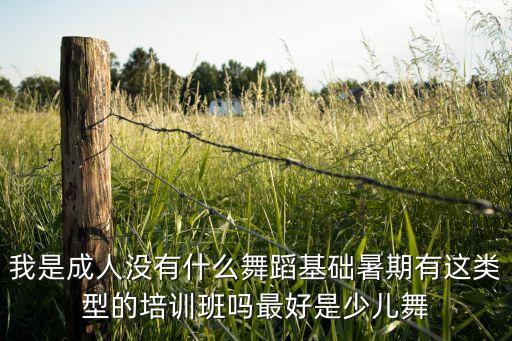 我是成人没有什么舞蹈基础暑期有这类型的培训班吗最好是少儿舞