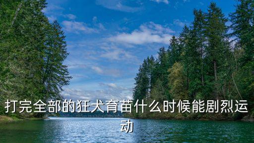 打完全部的狂犬育苗什么时候能剧烈运动