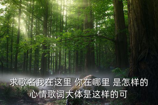 求歌名我在这里 你在哪里 是怎样的心情歌词大体是这样的可