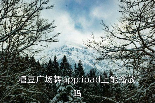下载糖豆广场舞软件，糖豆广场舞app ipad上能播放吗