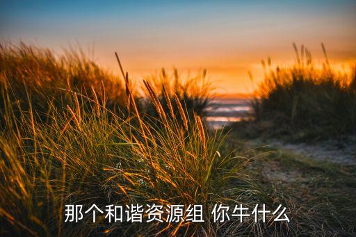 那个和谐资源组 你牛什么