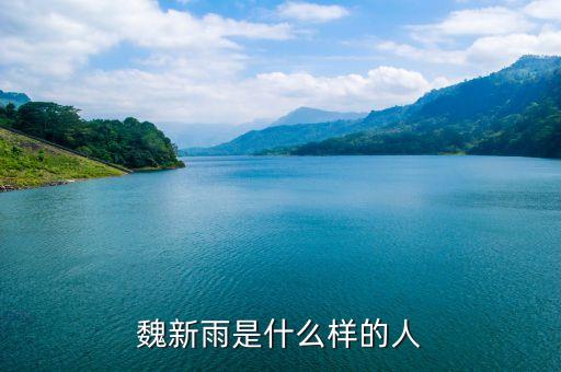 魏新雨是什么样的人