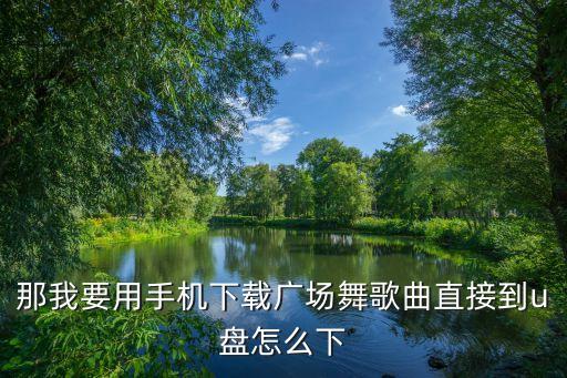 那我要用手机下载广场舞歌曲直接到u盘怎么下