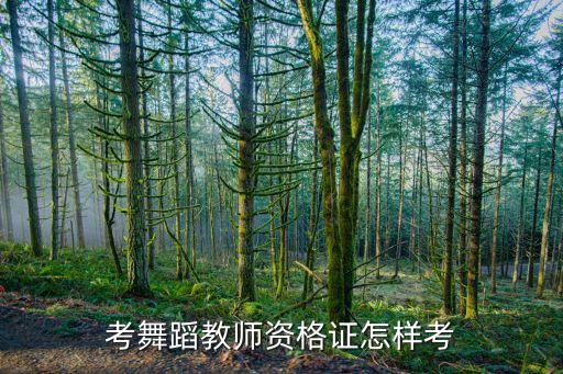 爵士舞蹈教师资格证需要什么学历，中国舞蹈家协会的教师资格证怎么考山东省的在哪里报名具体要