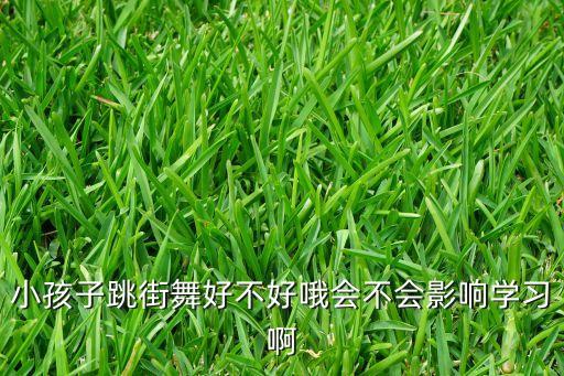 小孩子跳街舞好不好哦会不会影响学习啊