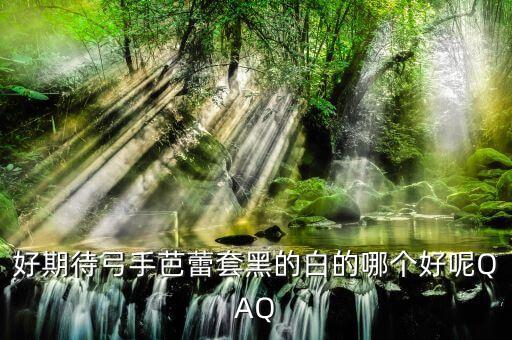 好期待弓手芭蕾套黑的白的哪个好呢QAQ