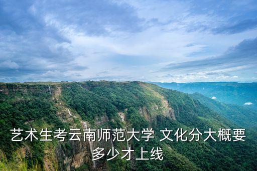 艺术生考云南师范大学 文化分大概要多少才上线