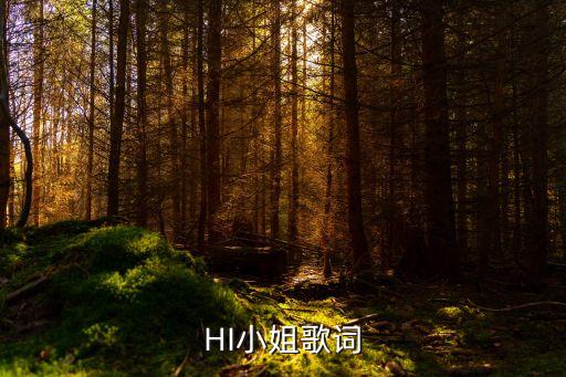 HI小姐歌词