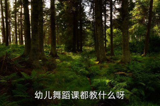 幼儿舞蹈课都教什么呀