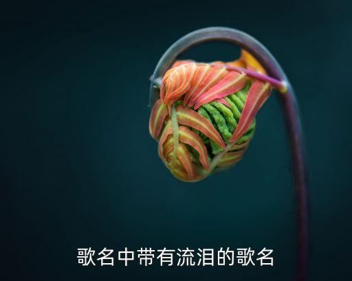 广场舞歌曲含一流泪的有哪些，给几个好听的伤感舞曲或者节奏感强烈一点的歌曲名