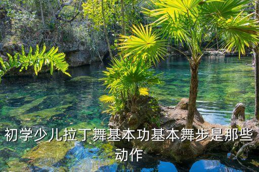 初学少儿拉丁舞基本功基本舞步是那些动作