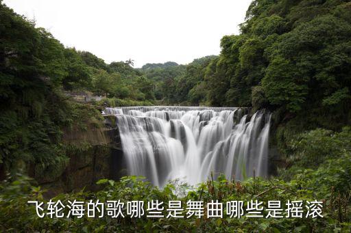 糖豆广场舞算什么舞曲，飞轮海的歌哪些是舞曲哪些是摇滚