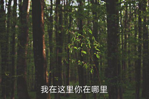 我在这里你在哪里