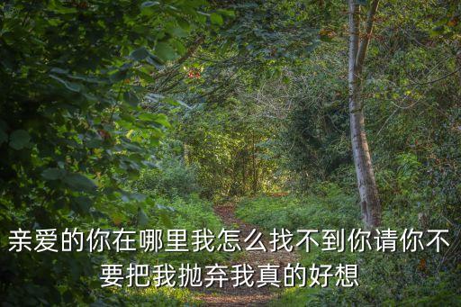 亲爱的你在哪里我怎么找不到你请你不要把我抛弃我真的好想