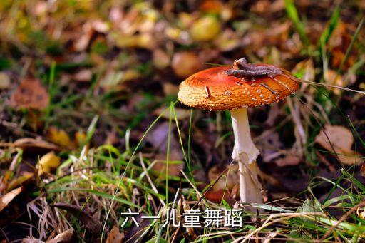 六一儿童节舞蹈勇气大爆发，适合六一儿童节的舞蹈 五年级 歌名