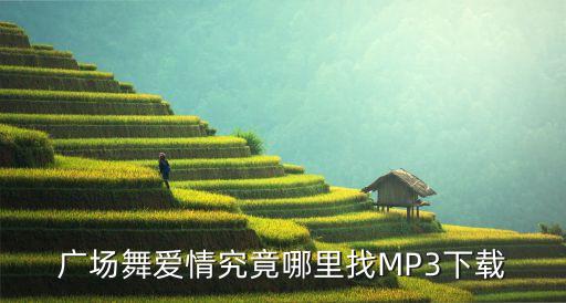 广场舞爱情究竟哪里找MP3下载