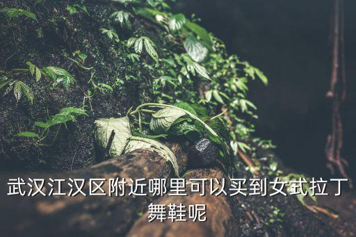 武汉江汉区附近哪里可以买到女式拉丁舞鞋呢