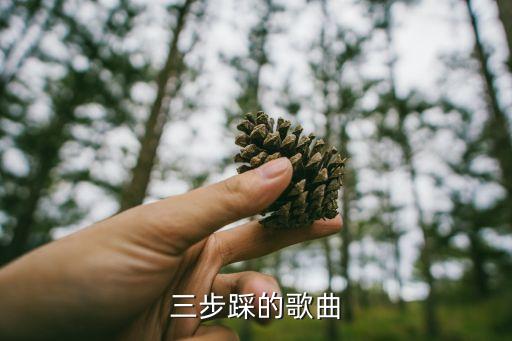 三步踩的歌曲