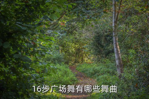 广场舞都是什么歌，16步广场舞有哪些舞曲