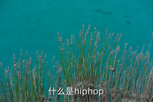 hiphop是什么样的舞蹈，HIPHOP是什么舞种