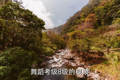 舞蹈考级8级的视频